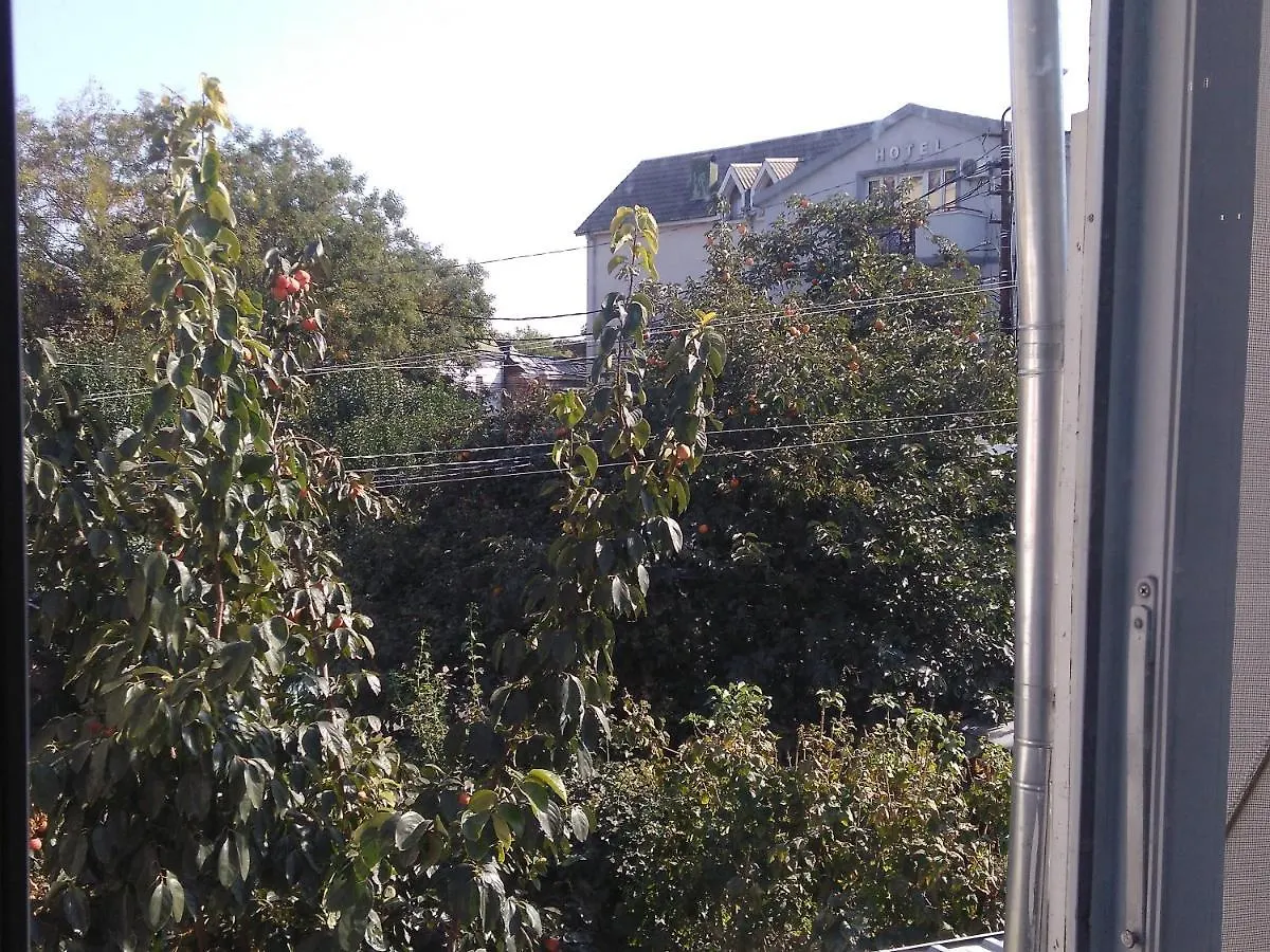 Apartment Avlabari location